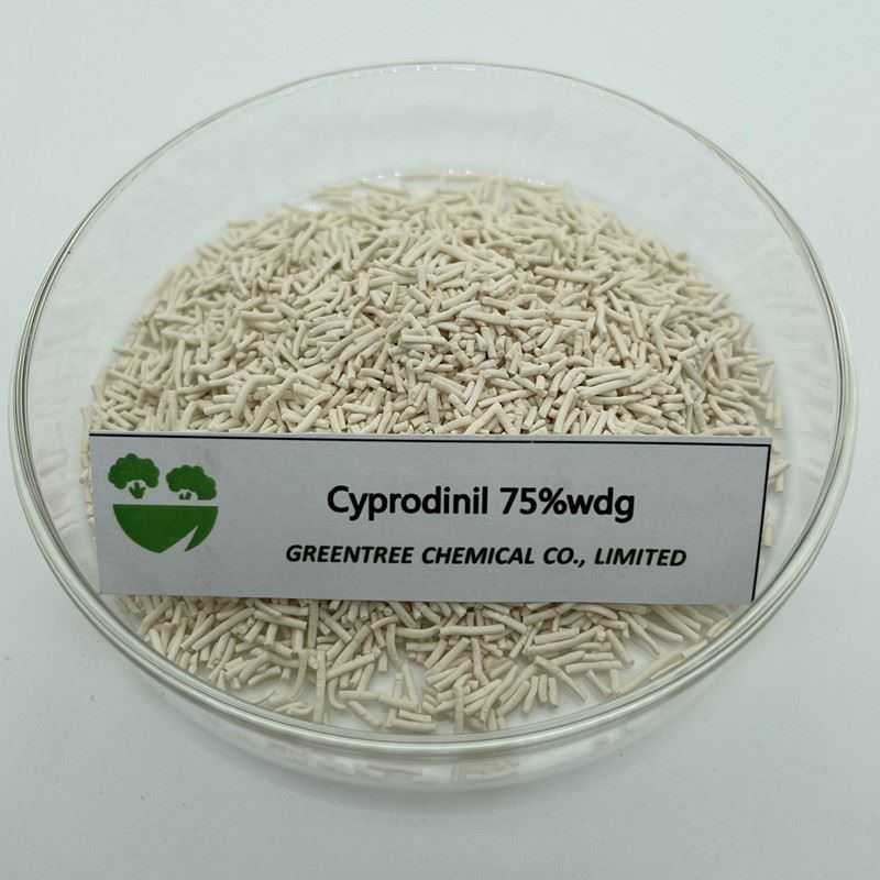CAS NO. 121552-61-2 Cyprodinil Fungicid 75 percent wdg 98 percent tc