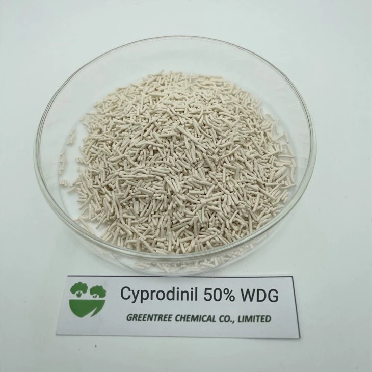 CAS 121552-61-2 Cyprodinil 50% Wdg Chemicals Fungicide Bactericide