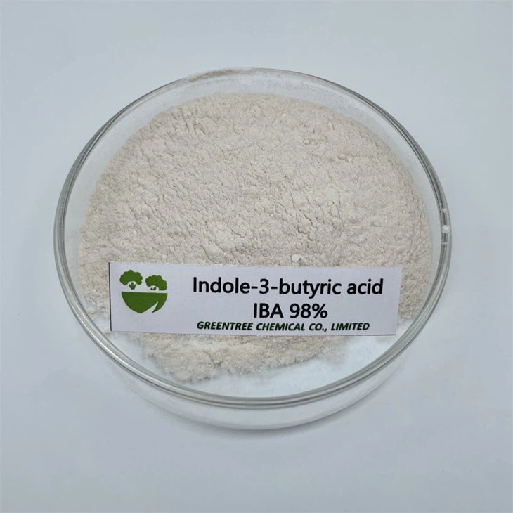 CAS No. 133-32-4 98% Indole-3-butyric Acid IBA Rooting Hormone