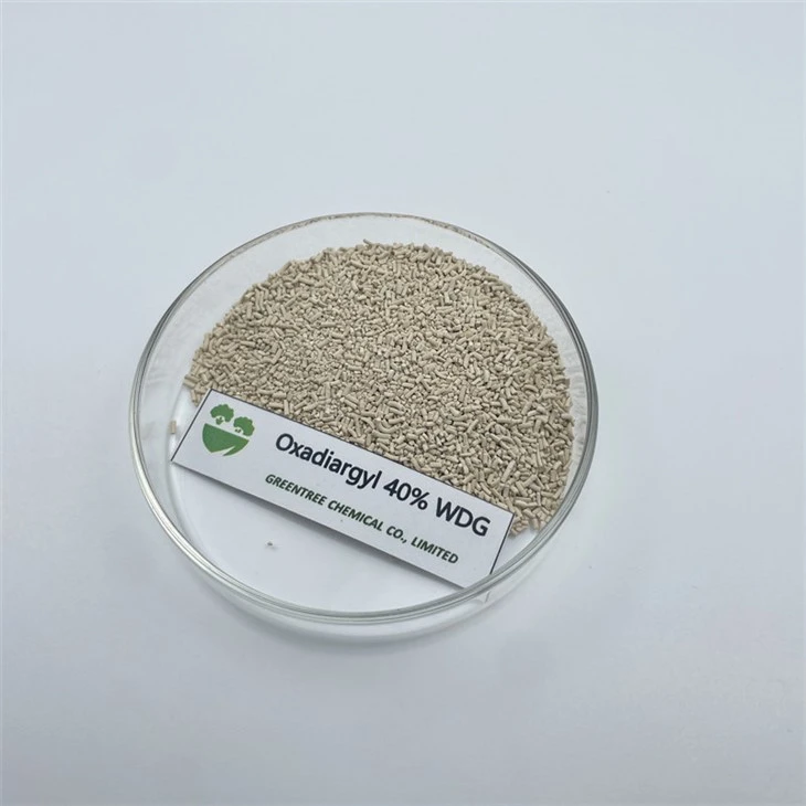 Oxadiargyl 40% WDG Granules Rice Field Herbicide