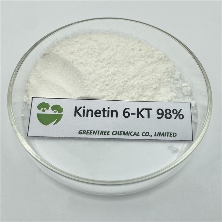 Plant Growth Regulator 6-KT 99%
